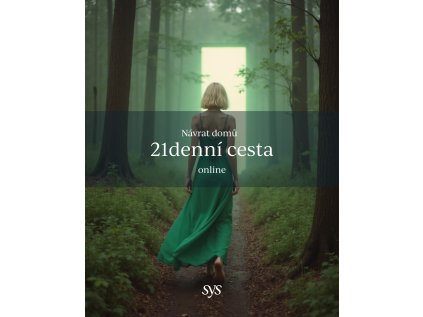 navrat domu online cesta