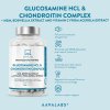 aavalabs glucosamine chondroitin