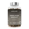 aavalabs shilajit 2