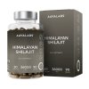 aavalabs shilajit