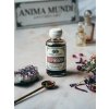 Anima Mundi Tinktura Euphoria