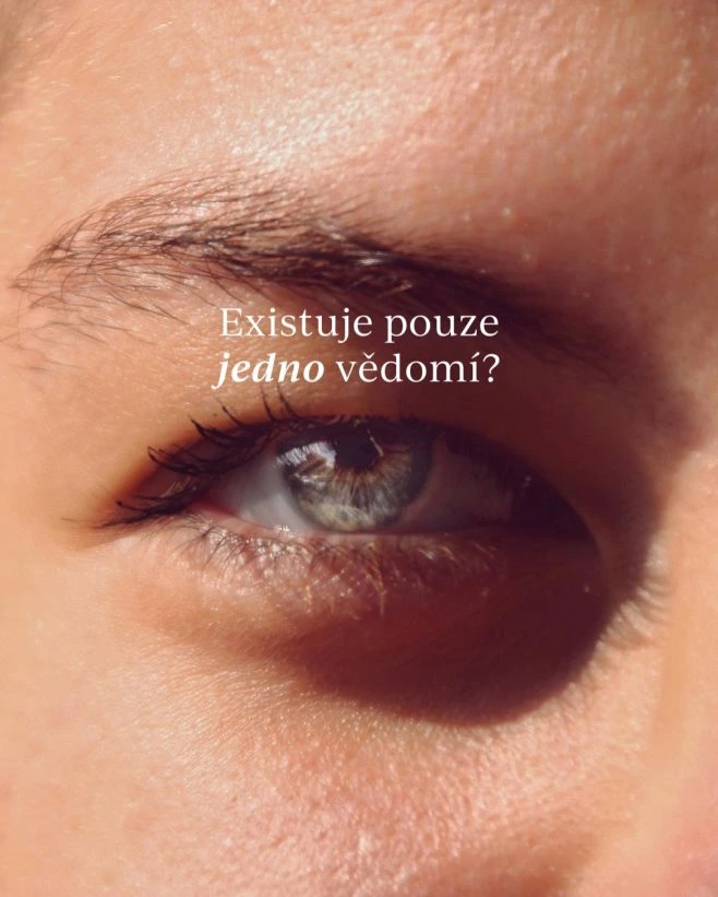 Myšlenka jednoty se objevuje v mnoha tradicích. V buddhismu, v učení Ježíše i ve filozofii známé jako Law of One. Říká...