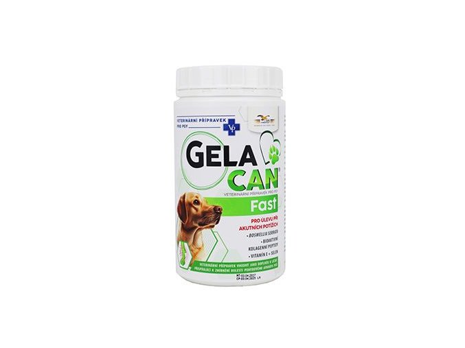 Gelacan Fast 500g