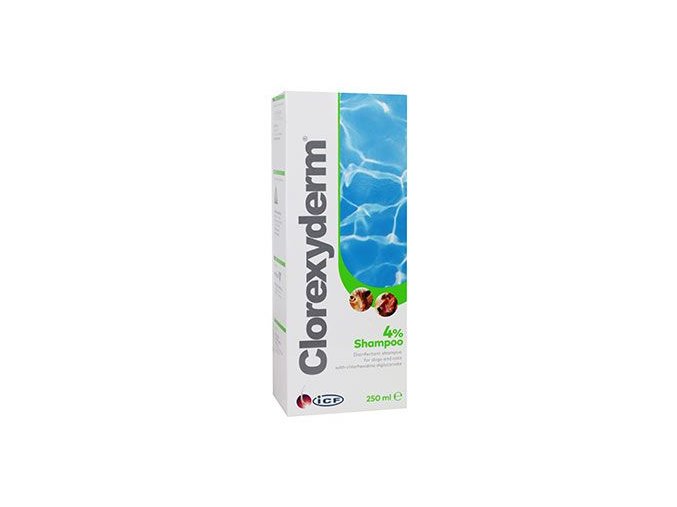 Clorexyderm šampon 4% ICF 250ml