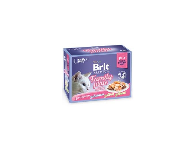 Brit Premium Cat D Fillets in Jelly Family Plate 1020g