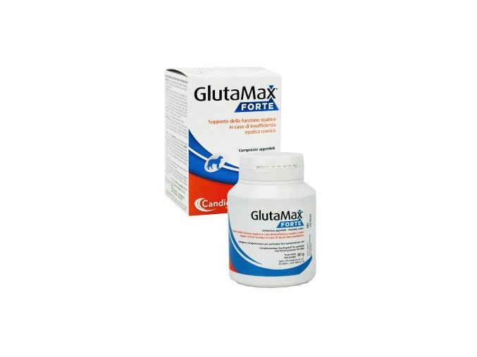 Glutamax forte 40tbl