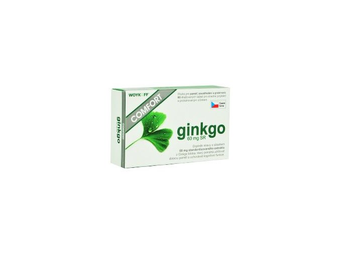 Ginkgo COMFORT SR 60mg 60tbl