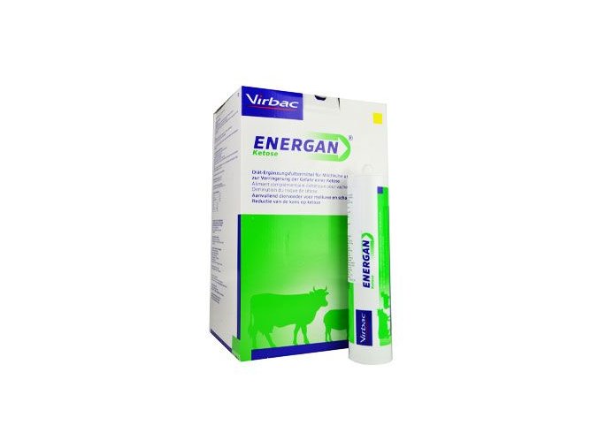 Energan Ketose 12x300g