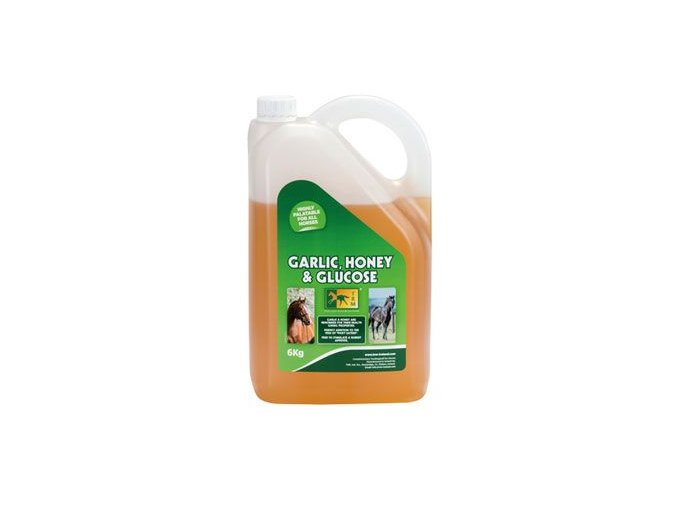 TRM pro koně Garlic Honey&Glucose 6kg