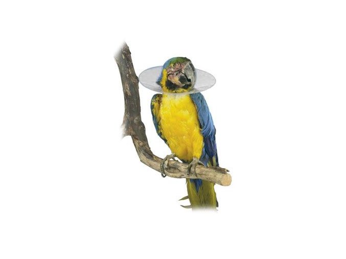 Límec ochranný plastový Bird Collar pro ptáky 8cm