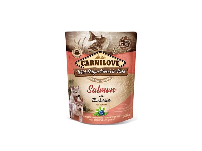 Carnilove Dog Pouch Paté Salmon & Blueber Puppies 300g