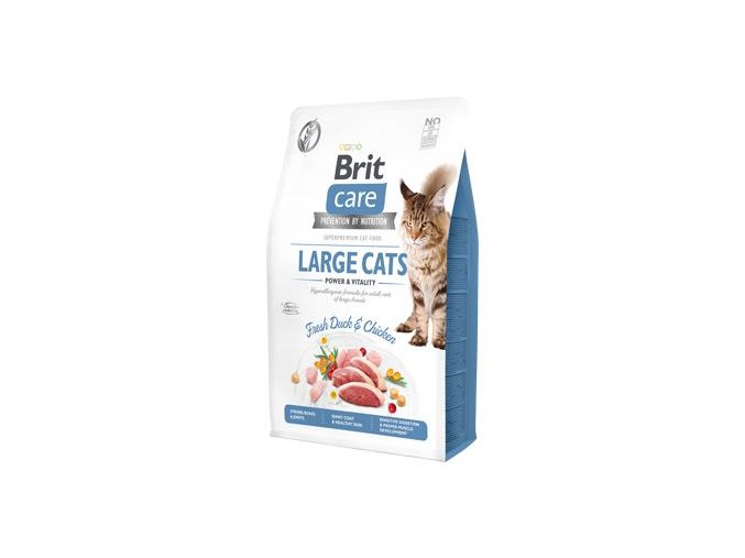 Brit Care Cat GF Large cats Power&Vitality 2kg