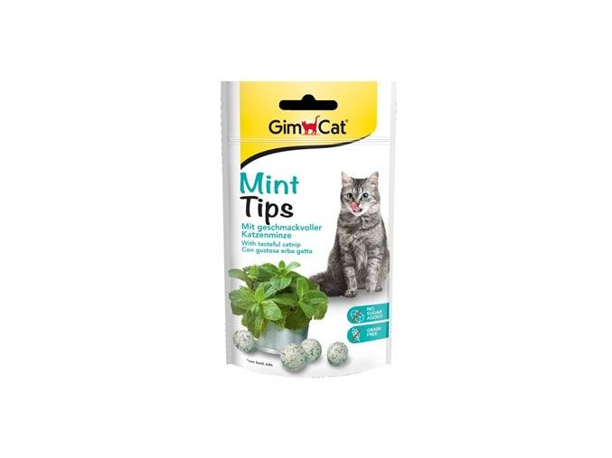 Gimpet kočka CAT MINTIPS 40g