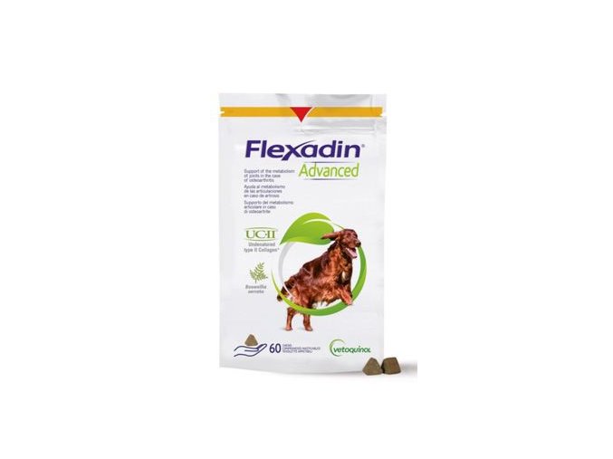 Flexadin Advanced New 60tbl