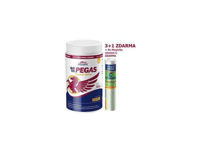 VITAR Veterinae ArtiVit Pegas MSM 720g