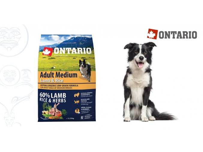 Ontario Adult Medium Lamb & Rice 2,25 kg