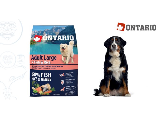 Ontario Adult Large Fish & Rice 2,25kg