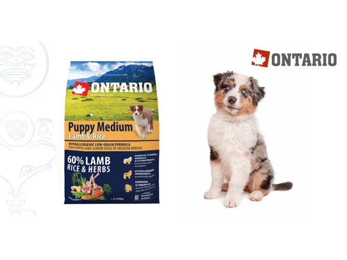 Ontario Puppy Medium Lamb & Rice 2,25 kg