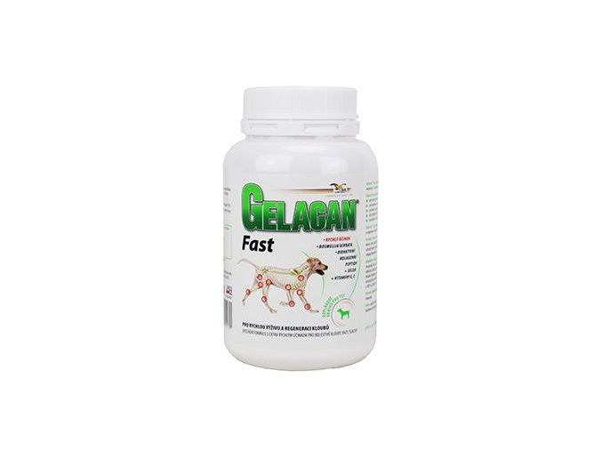 Gelacan Fast 150g