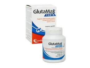 Glutamax forte 40tbl