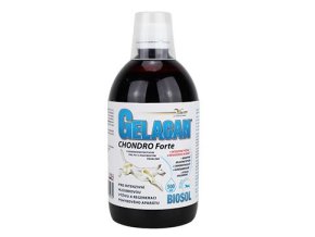 Gelacan Chondro Forte Biosol 500ml