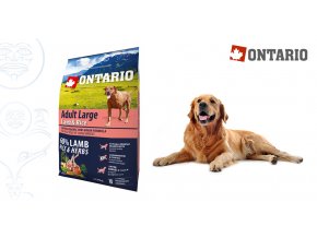 Ontario Adult Large Lamb & Rice 2,25kg