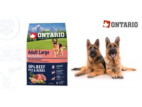 Ontario Adult Large Beef & Rice 2,25 kg