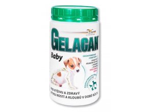 Gelacan Plus Baby 500g