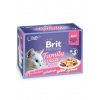 Brit Premium Cat D Fillets in Jelly Family Plate 1020g