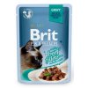 Brit Premium Cat D Fillets in Gravy With Beef 85g