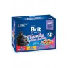 Brit Premium Cat kapsa Family Plate 1200g (12x100g)