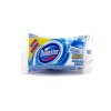 Wc čistič Domestos blok Atlantic NN 40g