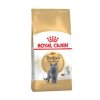 Royal Canin Breed Feline British Shorthair 400g