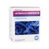 Lactobacillus acidophilus bez laktózy 75cps