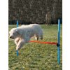 AGILITY překážka 3 tyče Modrá/Oranžová 129/115cm TR