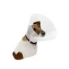 Límec ochranný BUSTER plastový Clic Collar 25cm