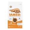 Iams Cat Kitten Chicken 2kg