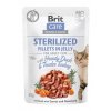 Brit Care Cat Fillets in Jelly Steril Duck&Turkey 85g