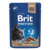 Brit Premium Cat kapsa Liver for Sterilised 100g