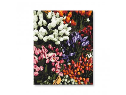 Festés számok szerint - Tulipán virágok
