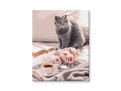 Festés számok szerint - brit macska