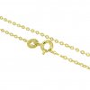 3851 Zlatý řetízek Anker 0,70 mm