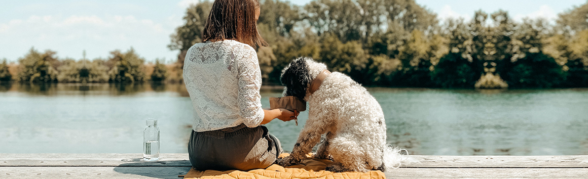 Kožené obojky Band & roll pro psy