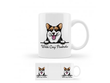 hrncek wesh corgi pembroke