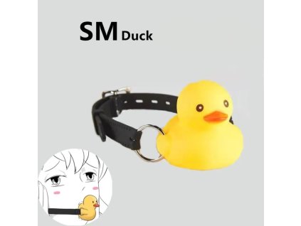 Obrázek WhatsApp, 2024 06 22 v 13.46.44 94d7c991