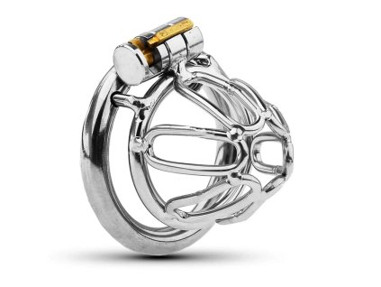 WhatsApp Image 2026 02 02 at 16.27.28 (3)