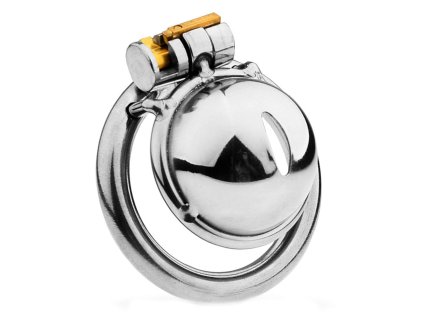 WhatsApp Image 2026 02 20 at 18.16.38