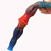 Oboustranné modro-červené dildo Double Wolf ohnuté do oblouku