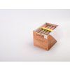 condega robusto 2