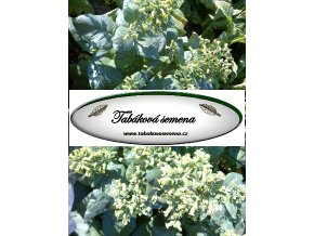 Tabák Mohawk - 100 semen